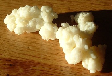 Foto melkkefir